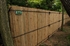 Picture of Bamboo Privacy Photo Gallery