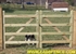 Picture of Split Rail Gate Options Photo Gallery