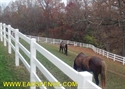 Picture of Horse & Equestrian Photo Gallery