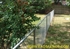 Picture of Residential Chain Link Photo Gallery