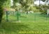 Picture of Residential Chain Link Photo Gallery