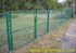 Picture of Residential Chain Link Photo Gallery