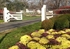 Picture of Ornamental Wood Estate Gates